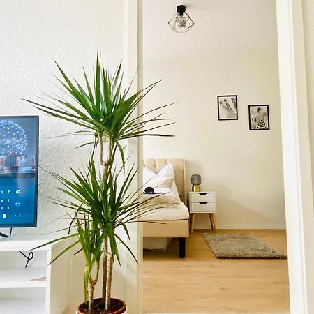 ארפורט Stilvolles Apartment In Zentraler Lage - Smart-Tv, Queensize-Bett, Altbaustil, Kueche In City-Naehe מראה חיצוני תמונה
